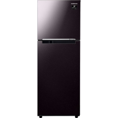 Tủ lạnh Samsung Inverter 236 lít RT22M4032BY/SV