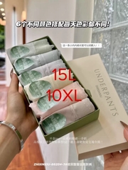 Sc thun lạnh 6c