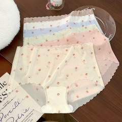 SC dâu hộp 5 màu