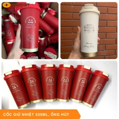 CỐC GIỮ NHIỆT 530ML KÈM ỐNG HÚT – TIỆN LỢI & HIỆN ĐẠI