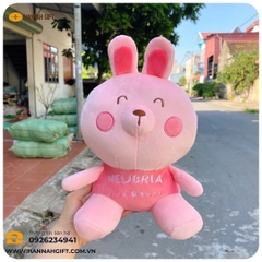 QUÀ TẶNG GẤU BÔNG DOANH NGHIỆP – MÓN QUÀ GẮN KẾT CẢM XÚC