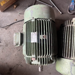 Motor Teco 15Hp -6P tua 970 vòng 145kg