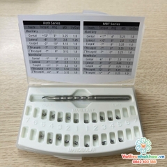 Mắc cài kim loại tự khóa Cô gái (tự buộc) (MUA 10 TẶNG 1)