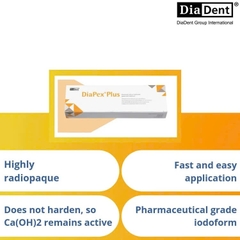 DiaPex Plus DiaDent – Paste Calcium Hydroxit Có Iodoform Điều Trị Tủy (Tuýp 2g)