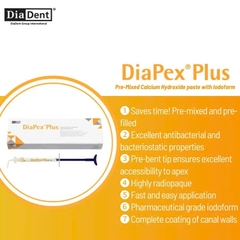 DiaPex Plus DiaDent – Paste Calcium Hydroxit Có Iodoform Điều Trị Tủy (Tuýp 2g)
