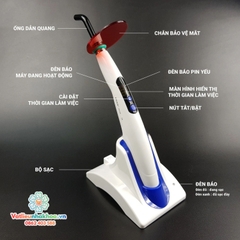 Đèn trám quang trùng hợp COXO DB-686 Latte