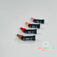 Nhộng composite dạng Lỏng/Đặc trám răng Tetric N-Flow/ Tetric N-Cream