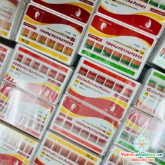 Cone Gutta Percha - Hãng Sure Endo (Hàn Quốc)