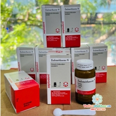 Cement trám bít ống tuỷ Endomethasone Septodont