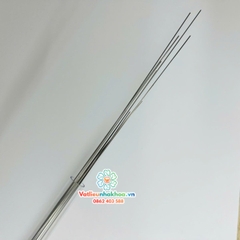 Dây cung SS thẳng