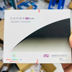 Răng nhựa nha khoa Synthetic resin teeth ( Vỉ 28 chiếc)