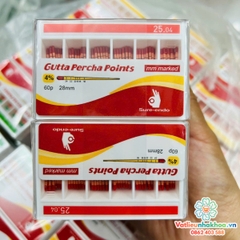 Cone Gutta Percha - Hãng Sure Endo (Hàn Quốc)