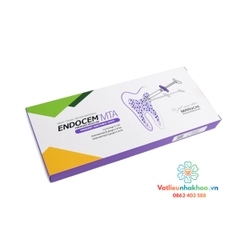 MTA trám bít ống tủy Endocem MTA - Maruchi