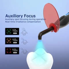 Đèn quang trùng hợp COXO DB-686 Honor