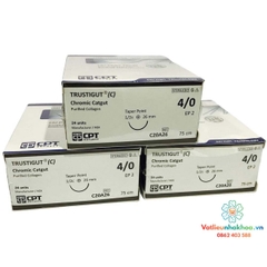 Chỉ khâu phẫu thuật tự tiêu Catgut - CPT