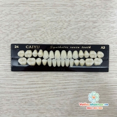 Răng nhựa nha khoa Synthetic resin teeth TQ (Hộp 28 chiếc)