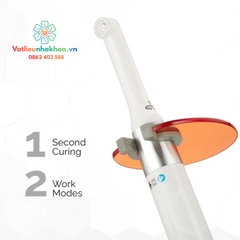 Đèn trám quang trùng hợp I.LED Woodpecker chính hãng (Cái)