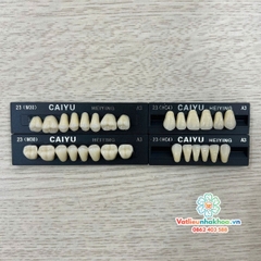 Răng nhựa nha khoa Synthetic resin teeth ( Vỉ 28 chiếc)