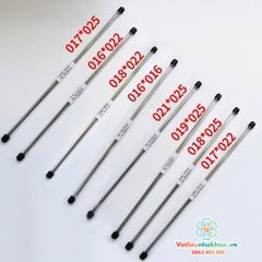 Dây cung SS thẳng