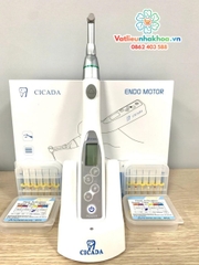 Máy điều trị nội nha Endo Motor CICADA - Không đèn