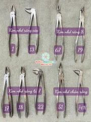 Bộ Kìm nhổ răng người lớn 9 chi tiết - Pakistan