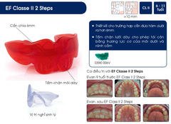 Hàm định hình khớp răng EF Line Orthoplus