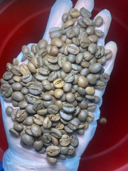 Cà Phê Rang Robusta