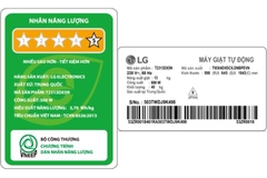 Máy giặt LG AI DD Inverter 13 kg T2313DX5N