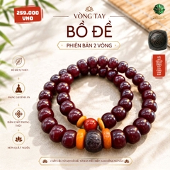 Vòng Tay Bồ Đề 2 Vòng Phối Mã Não Nam Hồng