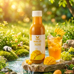 NƯỚC CỐT XOÀI (650 ml)