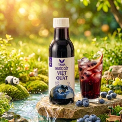 NƯỚC CỐT VIỆT QUẤT (650 ml)