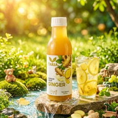 Syrup Gừng – Ginger Syrup Taria (650 ml)