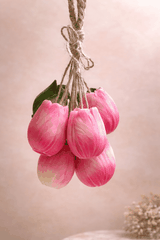 Chùm hoa Tulip treo đa năng