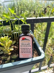 [COMBO 4] Chai nước súc miệng cải thiện đau nhức răng thất sơn cửu huyền dung tích 100ml hỗ trợ tình trạng răng lợi chắc khoẻ-(Tặng 1 cao xoa bóp hỗ trợ đau nhức mỏi cổ vai gáy,..)