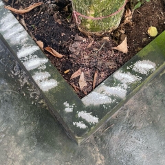 ( tẩy đa năng mạnh) combo 3 gói bột tẩy Rong Rêu, làm sạch nền xi măng, 3 gói 500g tổng 1.5kg . Tiết kiệm , làm sạch tại nhà. Pha 15 lít để tẩy rong