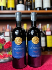 CAROLINA PRIMITIVO PUGLIA