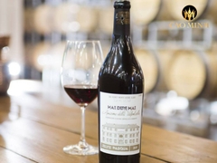 Pasqua Mai Dire Mai Valpolicella Superiore 2013