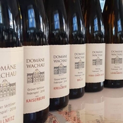 Domäne Wachau Riesling Ried Achleiten Smaragd