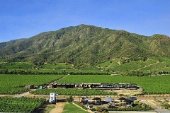 ESTACIÓN Cabernet Sauvignon