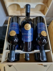 CAROLINA PRIMITIVO PUGLIA
