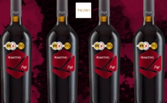 FUGA – Primitivo IGP Puglia 2022 - Tagaro