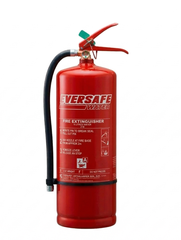 Bình chữa cháy Gốc Nước 6 Lít (Có Kiểm Định) - Loại Xách Tay  | EEW-6S EverSafe - Malaysia