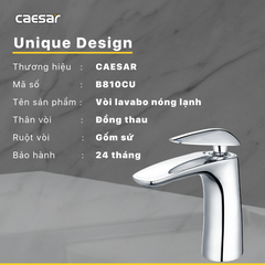 Vòi lavabo chậu rửa mặt Caesar B170CU nóng lạnh