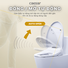 Bồn Cầu 1 khối CAESAR C1363F Nắp Rửa Điện Tử TAF610H