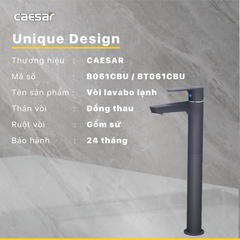 Vòi Lavabo Caesar B061CBU Lạnh Thân Cao Màu Đen