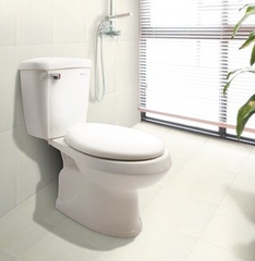 Bồn cầu 2 khối Thiên Thanh Ruby I nắp êm xả gạt