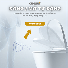 Nắp Bồn Cầu Điện Tử CAESAR TAF512H Đa Năng