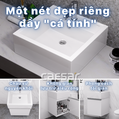 Lavabo chậu rửa mặt Caesar LF5236 đặt bàn