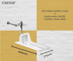 Bồn cầu xổm Caesar C1250