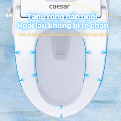 Bồn Cầu 1 khối CAESAR C1363F Nắp Rửa Điện Tử TAF610H